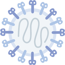 RSウイルスのイラスト