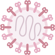 RSウイルスのイラスト